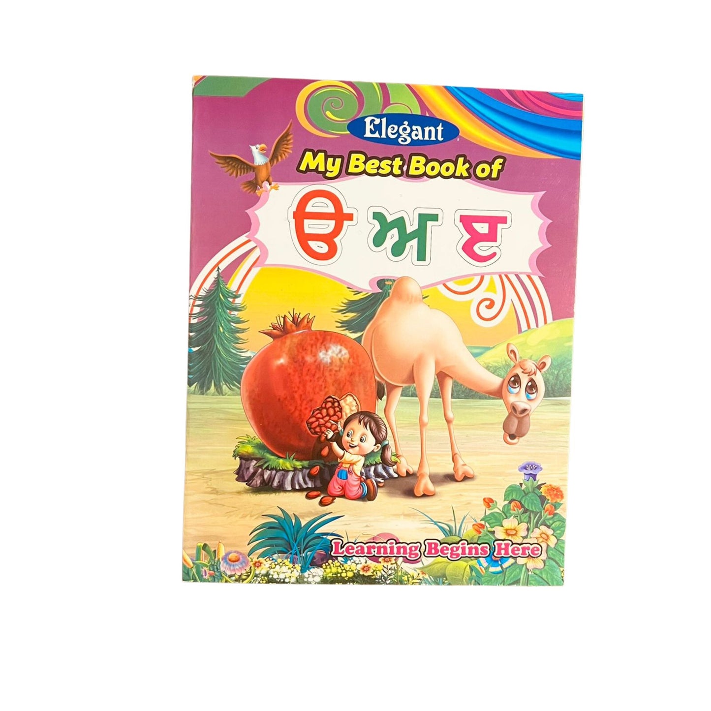 Punjabi Alphabet Book