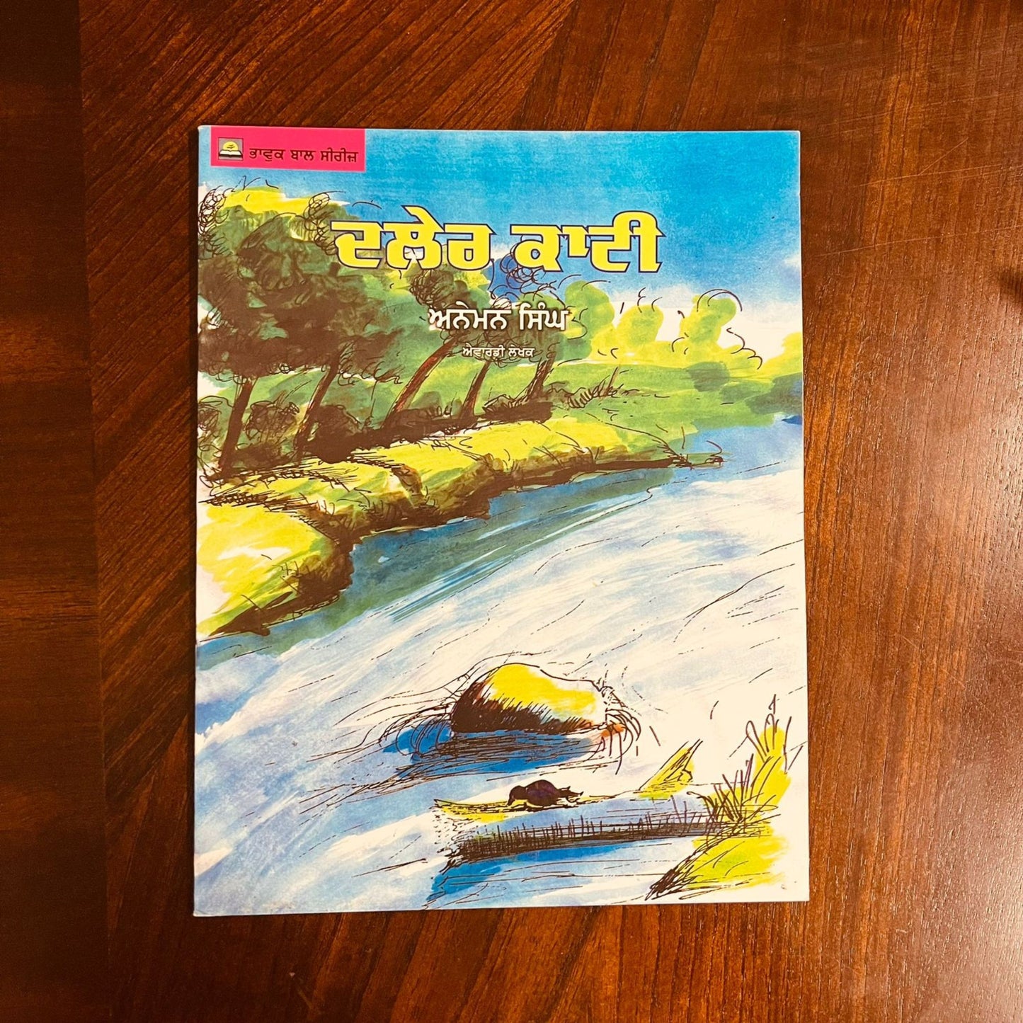 Punjabi Story books